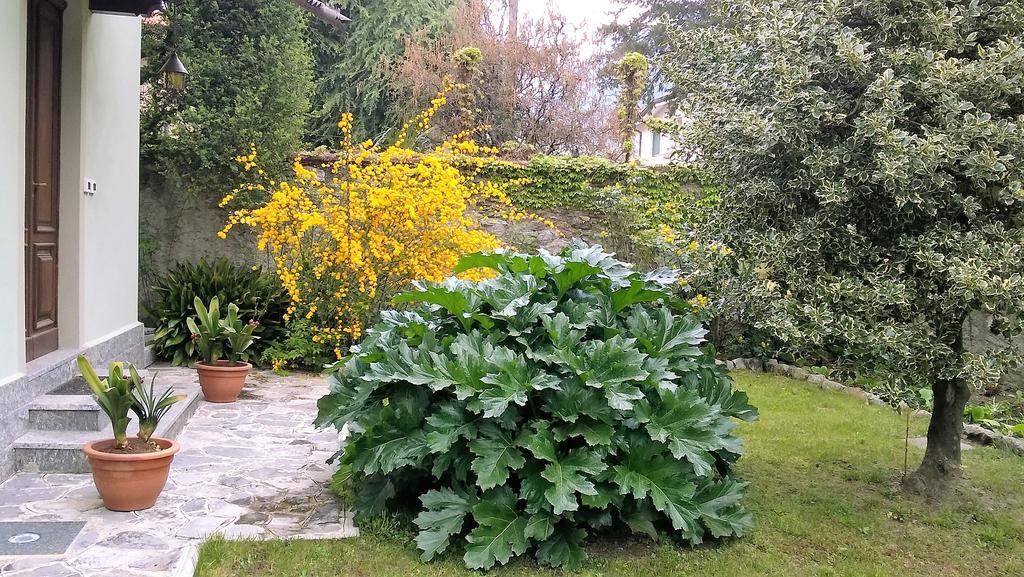 La Casa Di Bice Villa Dervio Dış mekan fotoğraf