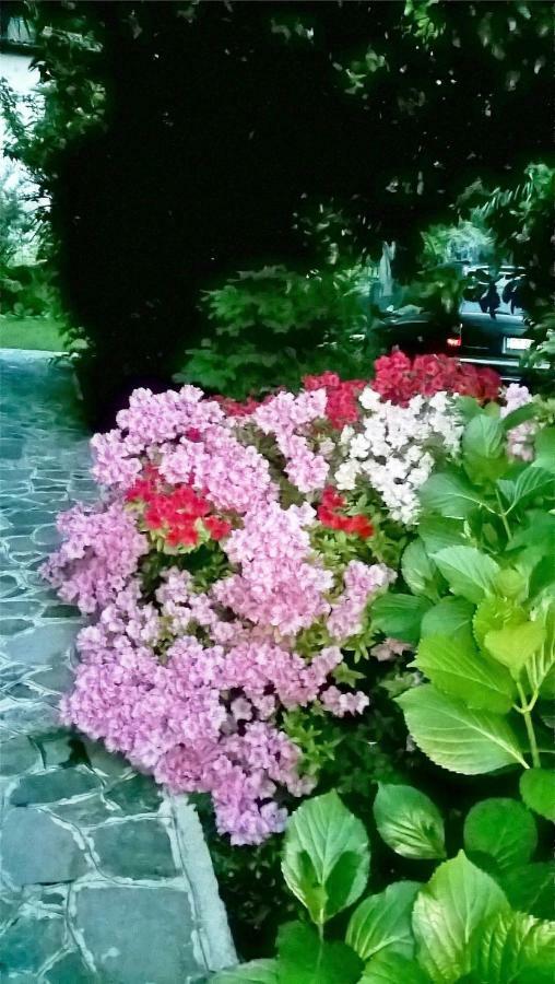 La Casa Di Bice Villa Dervio Dış mekan fotoğraf